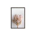 Picture of Soft Pink _GroupedProduct_Rectangle_Portrait_Photography _GroupedProduct_Rectangle_Portrait_Canvas_Framed_