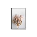 Picture of Soft Pink _GroupedProduct_Rectangle_Portrait_Photography _GroupedProduct_Rectangle_Portrait_Canvas_Framed_