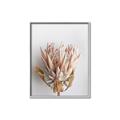 Picture of Soft Pink _GroupedProduct_Rectangle_Portrait_Photography _GroupedProduct_Rectangle_Portrait_Canvas_Framed_