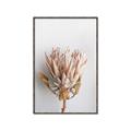 Picture of Soft Pink _GroupedProduct_Rectangle_Portrait_Photography _GroupedProduct_Rectangle_Portrait_Canvas_Framed_