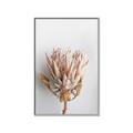 Picture of Soft Pink _GroupedProduct_Rectangle_Portrait_Photography _GroupedProduct_Rectangle_Portrait_Canvas_Framed_