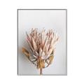 Picture of Soft Pink _GroupedProduct_Rectangle_Portrait_Photography _GroupedProduct_Rectangle_Portrait_Canvas_Framed_