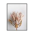 Picture of Soft Pink _GroupedProduct_Rectangle_Portrait_Photography _GroupedProduct_Rectangle_Portrait_Canvas_Framed_