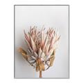 Picture of Soft Pink _GroupedProduct_Rectangle_Portrait_Photography _GroupedProduct_Rectangle_Portrait_Canvas_Framed_