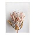 Picture of Soft Pink _GroupedProduct_Rectangle_Portrait_Photography _GroupedProduct_Rectangle_Portrait_Canvas_Framed_