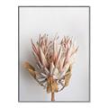 Picture of Soft Pink _GroupedProduct_Rectangle_Portrait_Photography _GroupedProduct_Rectangle_Portrait_Canvas_Framed_