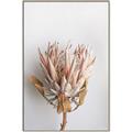 Picture of Soft Pink _GroupedProduct_Rectangle_Portrait_Photography _GroupedProduct_Rectangle_Portrait_Canvas_Framed_