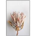 Picture of Soft Pink _GroupedProduct_Rectangle_Portrait_Photography _GroupedProduct_Rectangle_Portrait_Canvas_Framed_