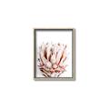 Picture of Soft Protea _GroupedProduct_Rectangle_Portrait_Photography _GroupedProduct_Rectangle_Portrait_Canvas_Framed_