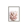Picture of Soft Protea _GroupedProduct_Rectangle_Portrait_Photography _GroupedProduct_Rectangle_Portrait_Canvas_Framed_