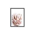 Picture of Soft Protea _GroupedProduct_Rectangle_Portrait_Photography _GroupedProduct_Rectangle_Portrait_Canvas_Framed_