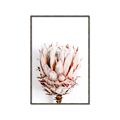 Picture of Soft Protea _GroupedProduct_Rectangle_Portrait_Photography _GroupedProduct_Rectangle_Portrait_Canvas_Framed_
