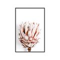 Picture of Soft Protea _GroupedProduct_Rectangle_Portrait_Photography _GroupedProduct_Rectangle_Portrait_Canvas_Framed_