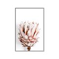 Picture of Soft Protea _GroupedProduct_Rectangle_Portrait_Photography _GroupedProduct_Rectangle_Portrait_Canvas_Framed_