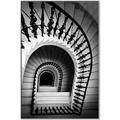 Picture of Spiral Staircase  _GroupedProduct_Rectangle_Portrait_Photography _GroupedProduct_Rectangle_Portrait_Canvas_Framed_