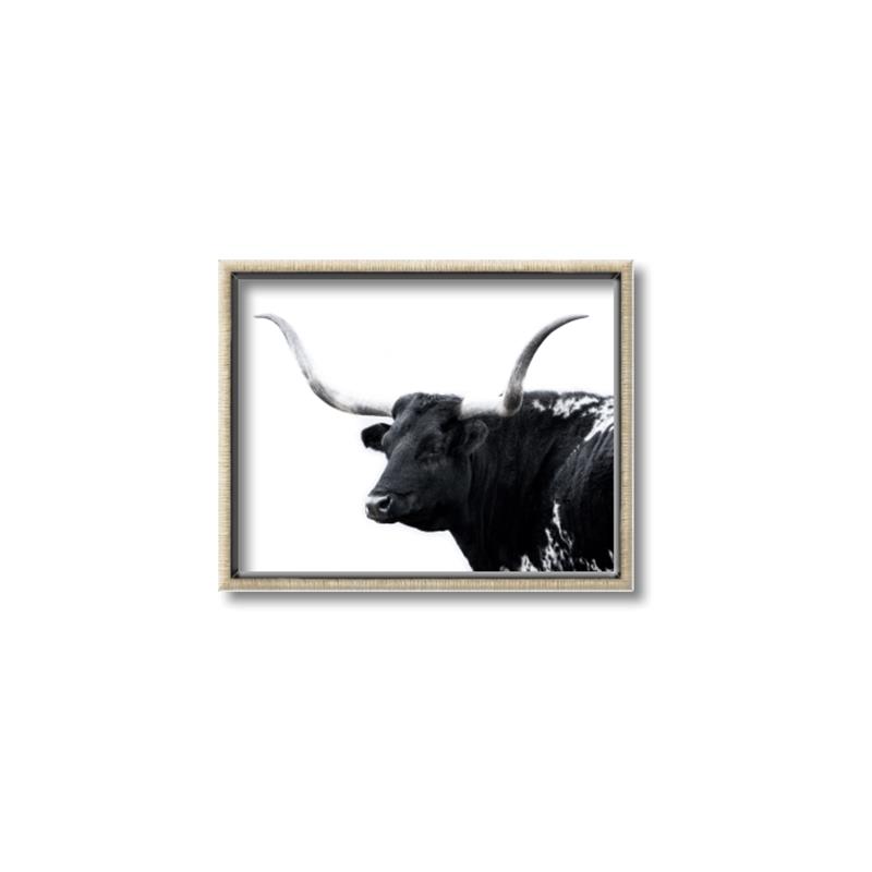 Picture of Spotted Bull  _GroupedProduct_Rectangle_Landscape_Photography _GroupedProduct_Rectangle_Landscape_Canvas_Framed_