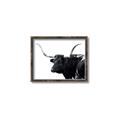 Picture of Spotted Bull  _GroupedProduct_Rectangle_Landscape_Photography _GroupedProduct_Rectangle_Landscape_Canvas_Framed_