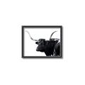 Picture of Spotted Bull  _GroupedProduct_Rectangle_Landscape_Photography _GroupedProduct_Rectangle_Landscape_Canvas_Framed_