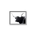Picture of Spotted Bull  _GroupedProduct_Rectangle_Landscape_Photography _GroupedProduct_Rectangle_Landscape_Canvas_Framed_