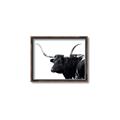 Picture of Spotted Bull  _GroupedProduct_Rectangle_Landscape_Photography _GroupedProduct_Rectangle_Landscape_Canvas_Framed_