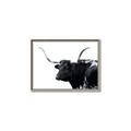 Picture of Spotted Bull  _GroupedProduct_Rectangle_Landscape_Photography _GroupedProduct_Rectangle_Landscape_Canvas_Framed_