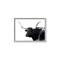 Picture of Spotted Bull  _GroupedProduct_Rectangle_Landscape_Photography _GroupedProduct_Rectangle_Landscape_Canvas_Framed_
