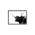 Picture of Spotted Bull  _GroupedProduct_Rectangle_Landscape_Photography _GroupedProduct_Rectangle_Landscape_Canvas_Framed_