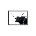 Picture of Spotted Bull  _GroupedProduct_Rectangle_Landscape_Photography _GroupedProduct_Rectangle_Landscape_Canvas_Framed_