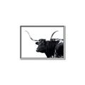 Picture of Spotted Bull  _GroupedProduct_Rectangle_Landscape_Photography _GroupedProduct_Rectangle_Landscape_Canvas_Framed_