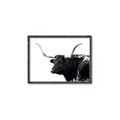 Picture of Spotted Bull  _GroupedProduct_Rectangle_Landscape_Photography _GroupedProduct_Rectangle_Landscape_Canvas_Framed_