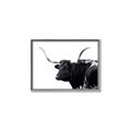 Picture of Spotted Bull  _GroupedProduct_Rectangle_Landscape_Photography _GroupedProduct_Rectangle_Landscape_Canvas_Framed_