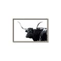 Picture of Spotted Bull  _GroupedProduct_Rectangle_Landscape_Photography _GroupedProduct_Rectangle_Landscape_Canvas_Framed_