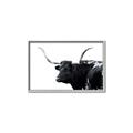 Picture of Spotted Bull  _GroupedProduct_Rectangle_Landscape_Photography _GroupedProduct_Rectangle_Landscape_Canvas_Framed_