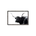 Picture of Spotted Bull  _GroupedProduct_Rectangle_Landscape_Photography _GroupedProduct_Rectangle_Landscape_Canvas_Framed_