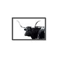 Picture of Spotted Bull  _GroupedProduct_Rectangle_Landscape_Photography _GroupedProduct_Rectangle_Landscape_Canvas_Framed_