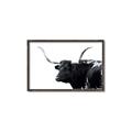 Picture of Spotted Bull  _GroupedProduct_Rectangle_Landscape_Photography _GroupedProduct_Rectangle_Landscape_Canvas_Framed_