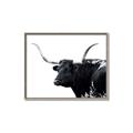 Picture of Spotted Bull  _GroupedProduct_Rectangle_Landscape_Photography _GroupedProduct_Rectangle_Landscape_Canvas_Framed_
