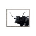 Picture of Spotted Bull  _GroupedProduct_Rectangle_Landscape_Photography _GroupedProduct_Rectangle_Landscape_Canvas_Framed_