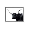 Picture of Spotted Bull  _GroupedProduct_Rectangle_Landscape_Photography _GroupedProduct_Rectangle_Landscape_Canvas_Framed_