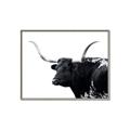 Picture of Spotted Bull  _GroupedProduct_Rectangle_Landscape_Photography _GroupedProduct_Rectangle_Landscape_Canvas_Framed_