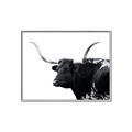 Picture of Spotted Bull  _GroupedProduct_Rectangle_Landscape_Photography _GroupedProduct_Rectangle_Landscape_Canvas_Framed_