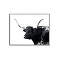 Picture of Spotted Bull  _GroupedProduct_Rectangle_Landscape_Photography _GroupedProduct_Rectangle_Landscape_Canvas_Framed_