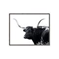 Picture of Spotted Bull  _GroupedProduct_Rectangle_Landscape_Photography _GroupedProduct_Rectangle_Landscape_Canvas_Framed_