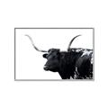 Picture of Spotted Bull  _GroupedProduct_Rectangle_Landscape_Photography _GroupedProduct_Rectangle_Landscape_Canvas_Framed_