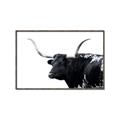 Picture of Spotted Bull  _GroupedProduct_Rectangle_Landscape_Photography _GroupedProduct_Rectangle_Landscape_Canvas_Framed_