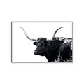 Picture of Spotted Bull  _GroupedProduct_Rectangle_Landscape_Photography _GroupedProduct_Rectangle_Landscape_Canvas_Framed_