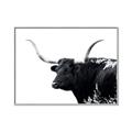 Picture of Spotted Bull  _GroupedProduct_Rectangle_Landscape_Photography _GroupedProduct_Rectangle_Landscape_Canvas_Framed_
