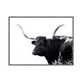 Picture of Spotted Bull  _GroupedProduct_Rectangle_Landscape_Photography _GroupedProduct_Rectangle_Landscape_Canvas_Framed_