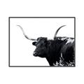 Picture of Spotted Bull  _GroupedProduct_Rectangle_Landscape_Photography _GroupedProduct_Rectangle_Landscape_Canvas_Framed_