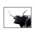 Picture of Spotted Bull  _GroupedProduct_Rectangle_Landscape_Photography _GroupedProduct_Rectangle_Landscape_Canvas_Framed_